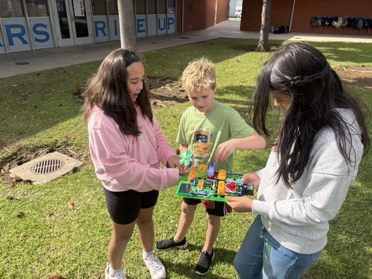 Berry_Bears1 tweet media