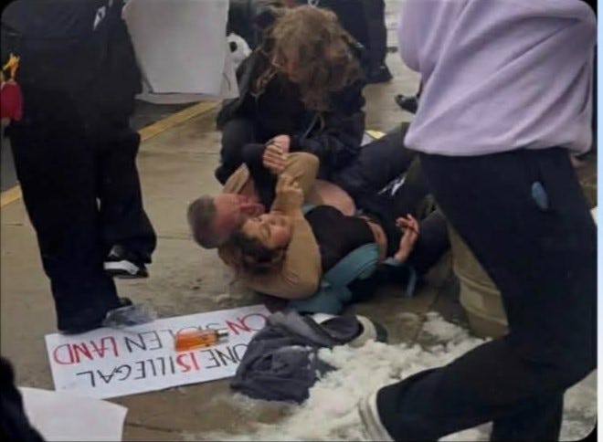 Chihuahua Files tweet media