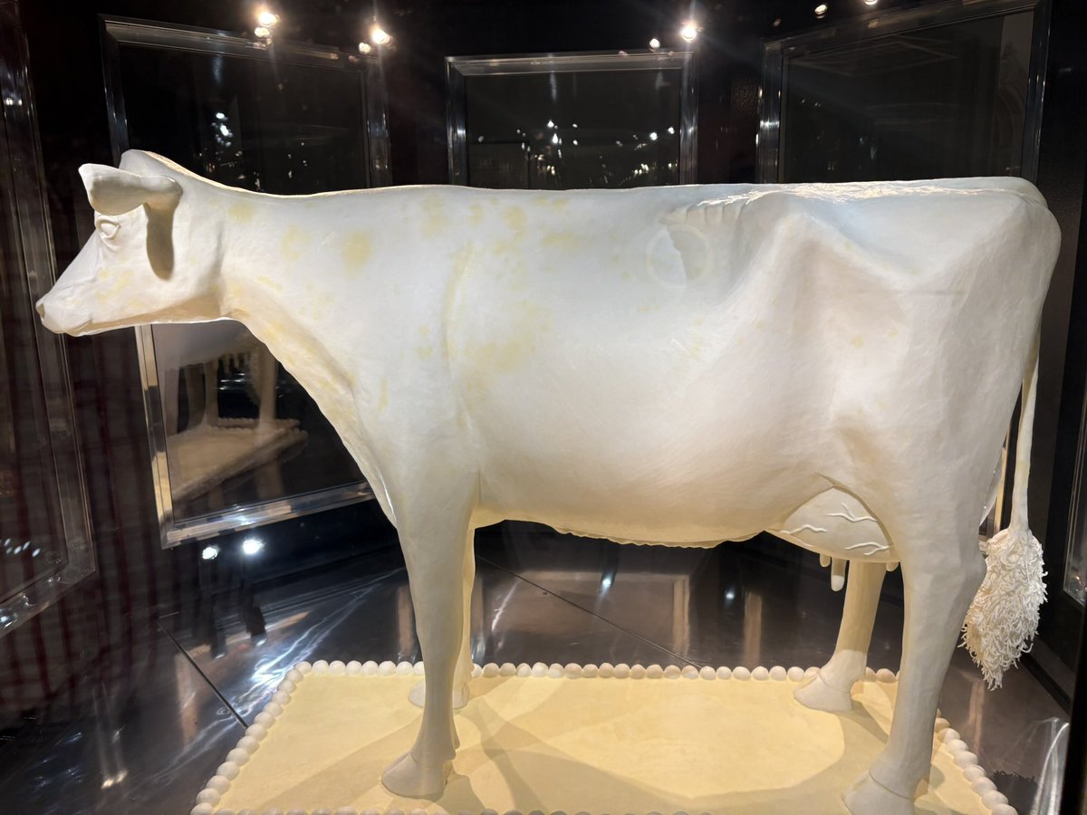 KimReynoldsIA's tweet image. Couldn’t come to DC without visiting the butter cow on display at the @smithsonian Renwick Gallery! #IowaStateFair
