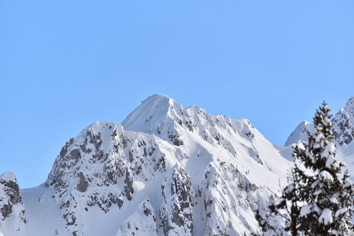 Stedilnik tweet media