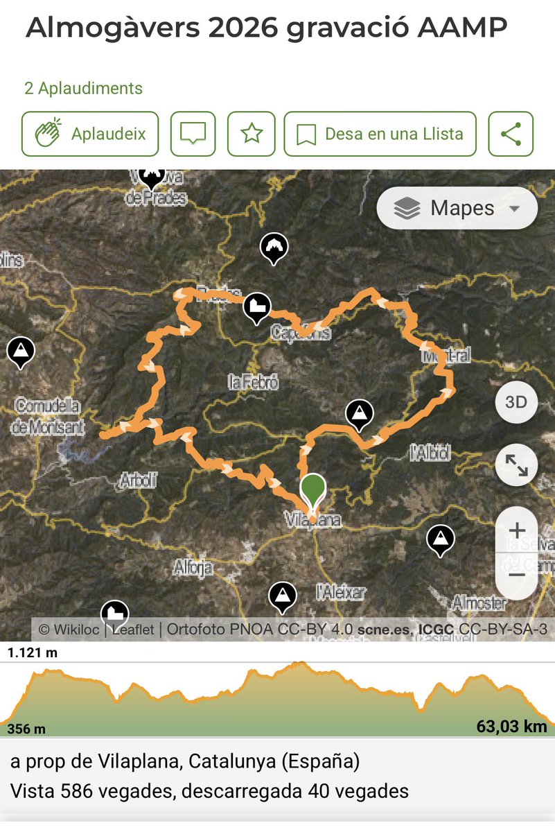 aamp.cat tweet media