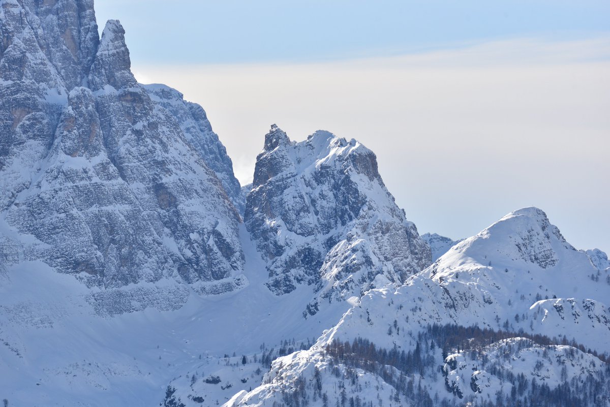 Stedilnik tweet media