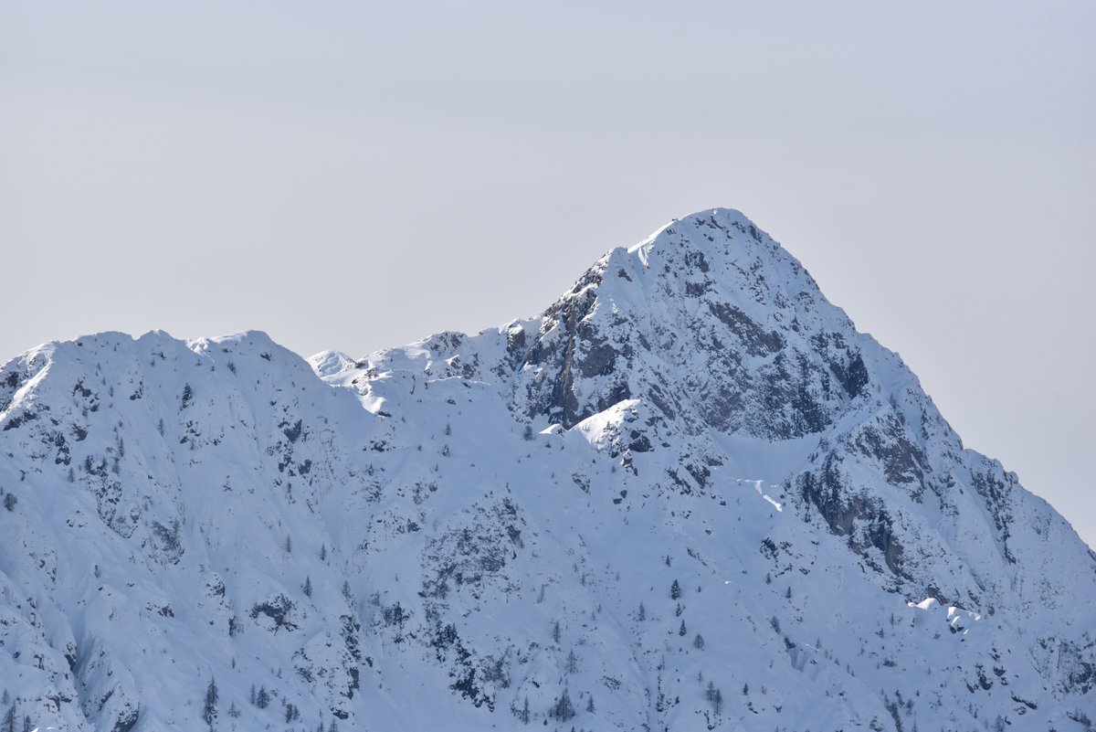 Stedilnik tweet media