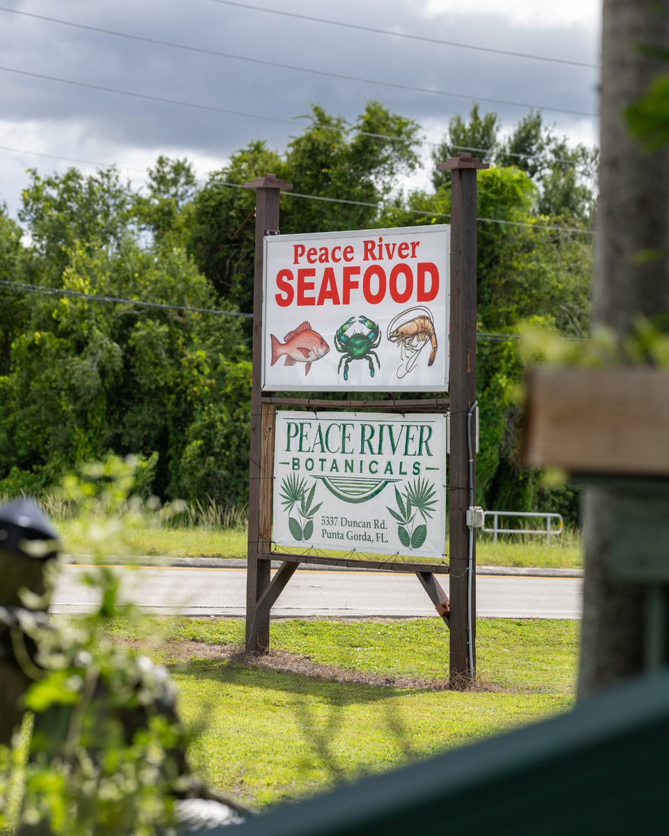 Punta Gorda/Englewood Beach tweet media