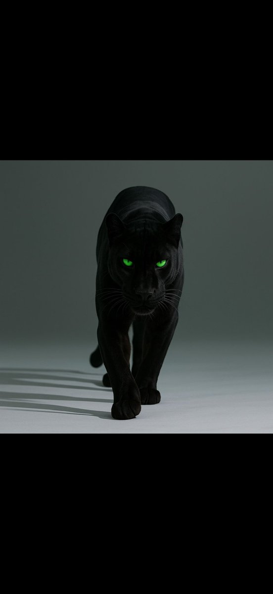 PARK Baseball ⚾️ tweet media