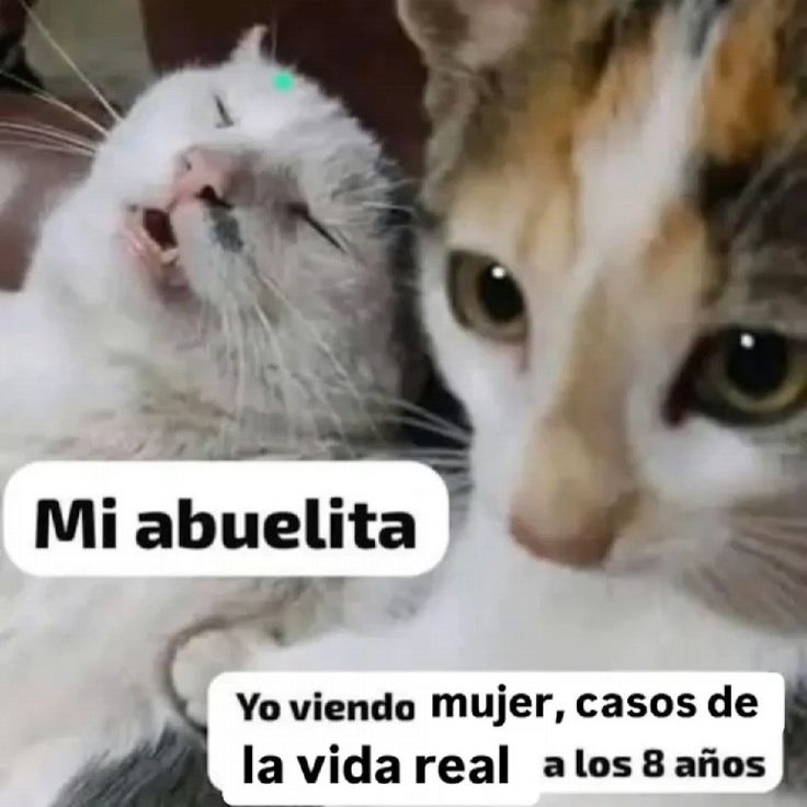 Pkittass (@pkittass) on Twitter photo 