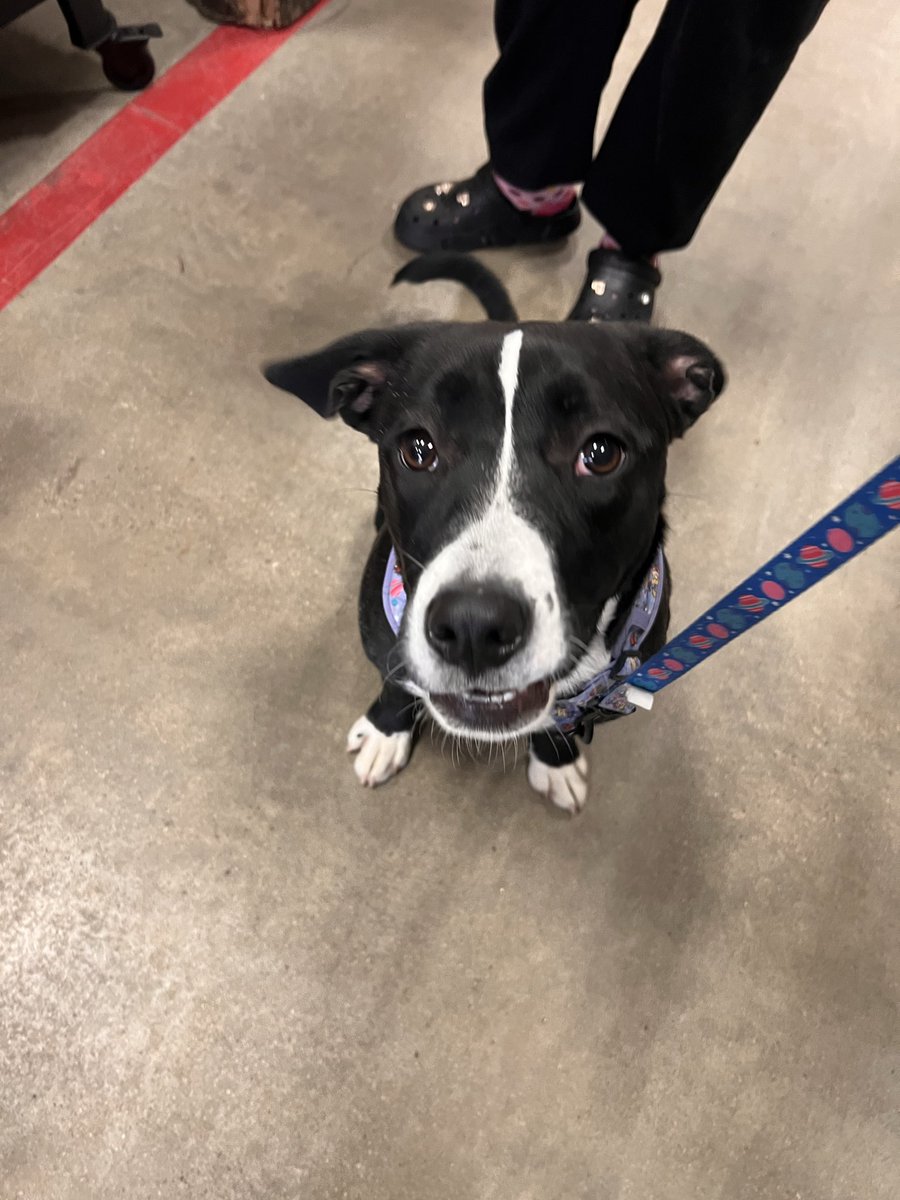 Commanderlorians tweet media