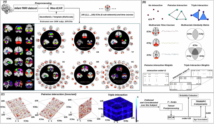 Communications Biology tweet media