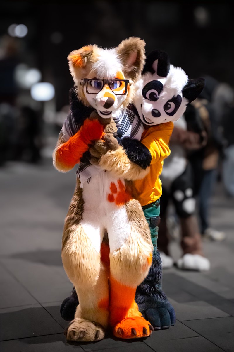 Baddy 🐾 tweet media