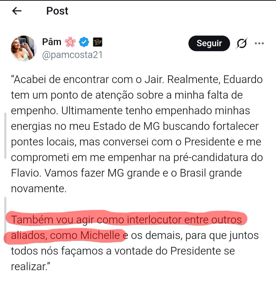 De "galego Imbrochável" a frouxo.

Como o líder da direita perde sua influência de negociação com a própria esposa, e pede a um jovem líder para te ajudar.

Assim informa o texto da "Pam News" ao queridos usuários do .

Obs: Só não mando beijo porque ele me bloqueou.
