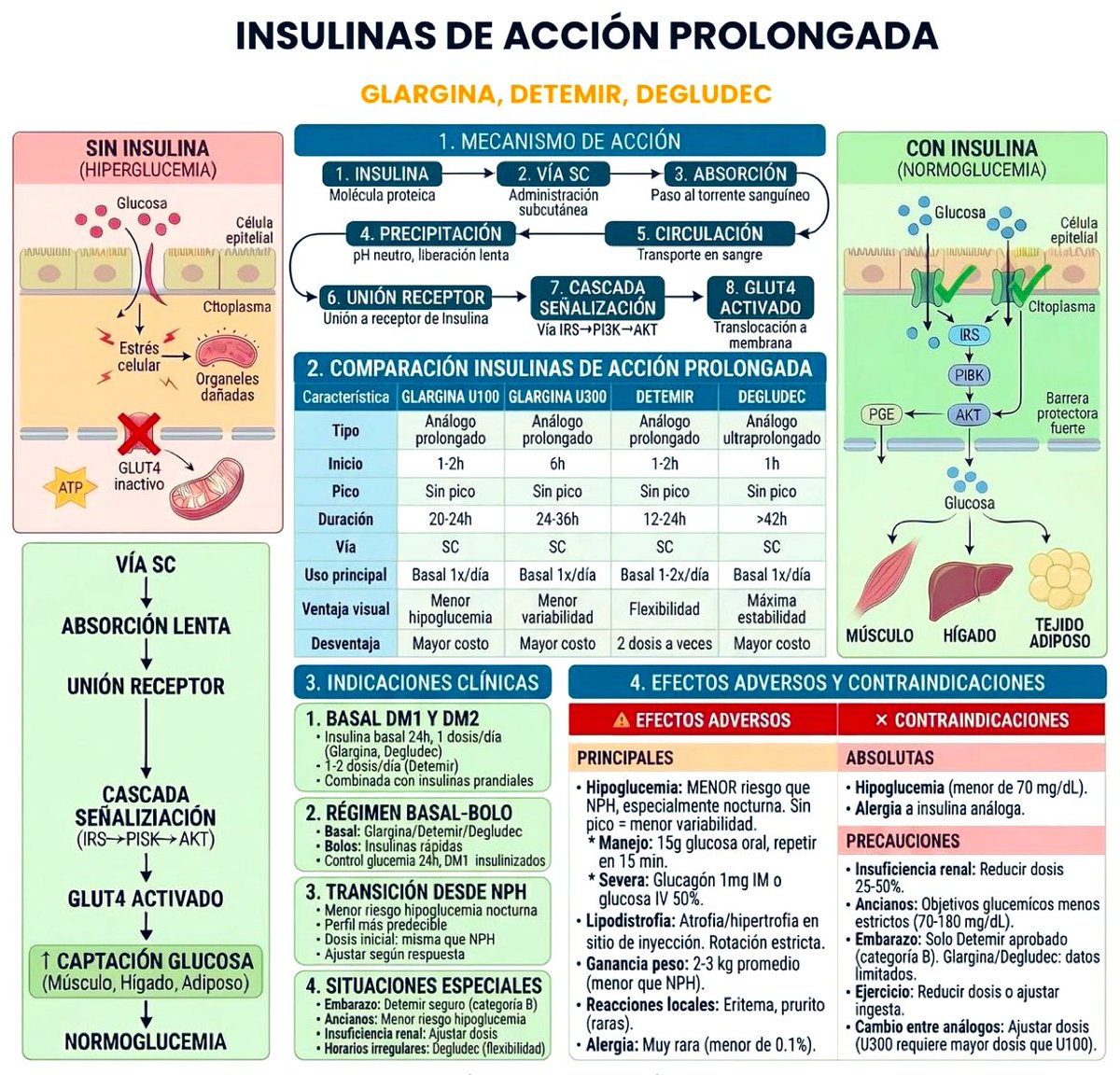 DrPharmDMDTh's tweet photo. INSULINAS https://t.co/KO4hXhmXCu