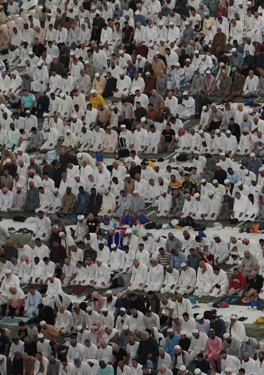 أخبار السعودية tweet media