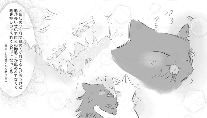おまけ 