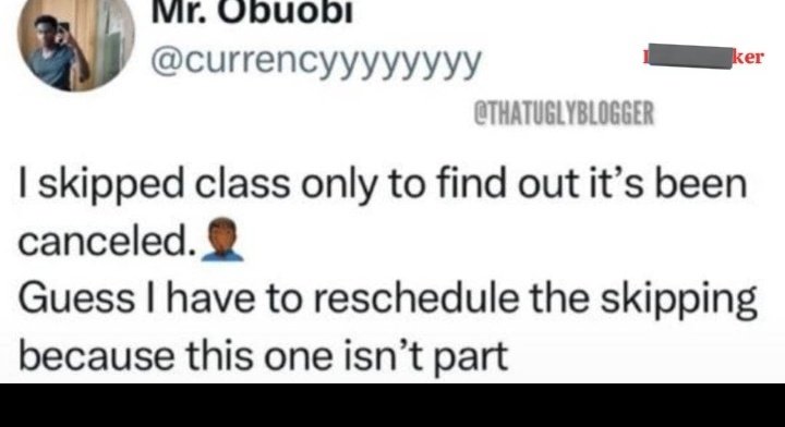 What did I just read 😭😂