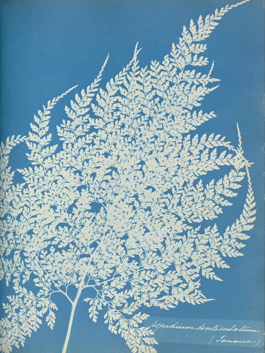 CienciaConArte |Ccª| tweet media