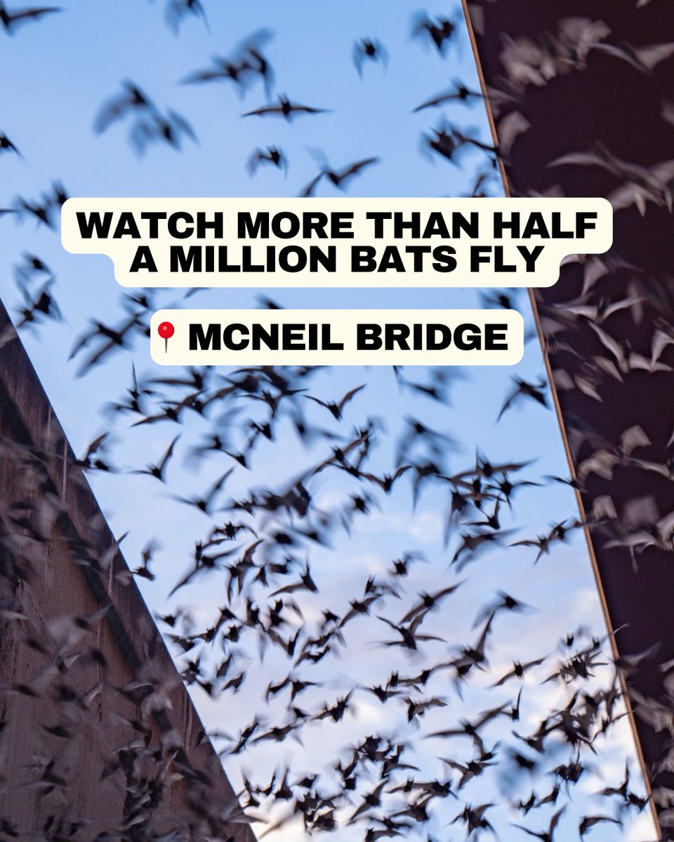 Go Round Rock tweet media