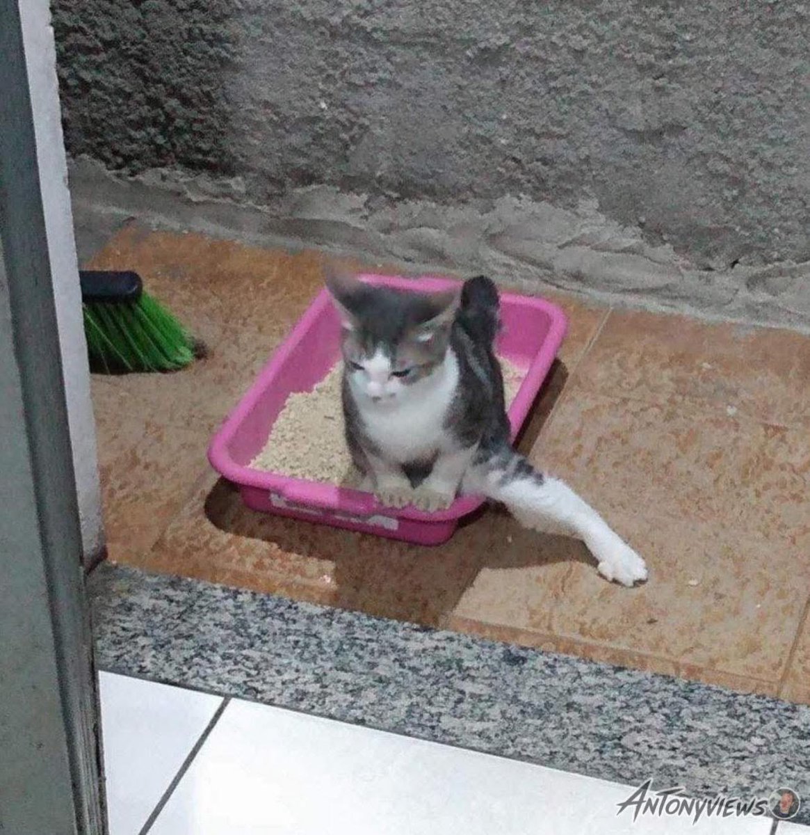 laysbrenda's tweet image. RT @odaradeverdade: Quando você entra em um banheiro público e a porta não fecha: