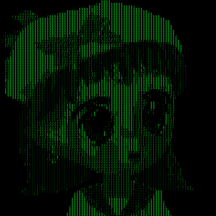 G Medici tweet media