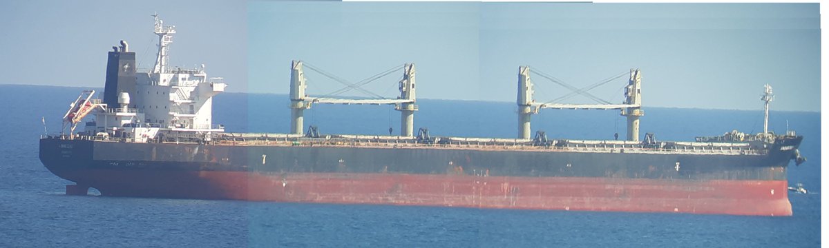#bulker ANNEGRIT at #Port_Everglades anchorage. Inbound from Pto Limon I think w steel. On the digiscoping / collages, finally some good resolution w improved lighting (thank Mother Nature for that) and I figured out how to hack thru some stuff w newer version of MS Paint.