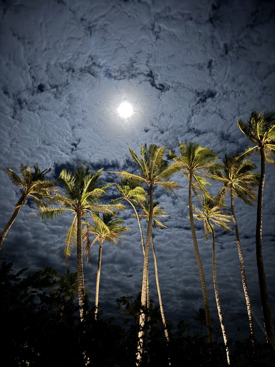 Mo__xa's tweet image. RT @Butterflless: