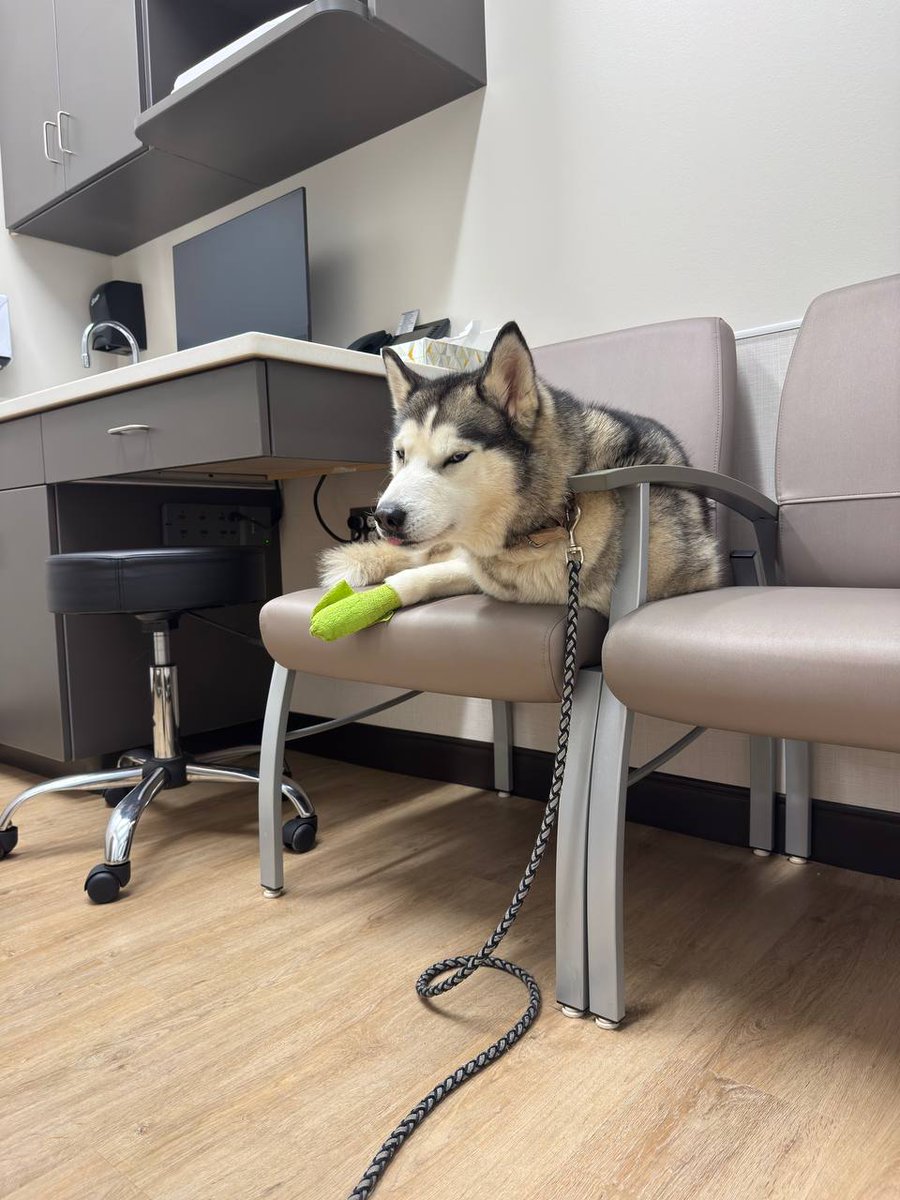 dirdwolf @ lvfc tweet media