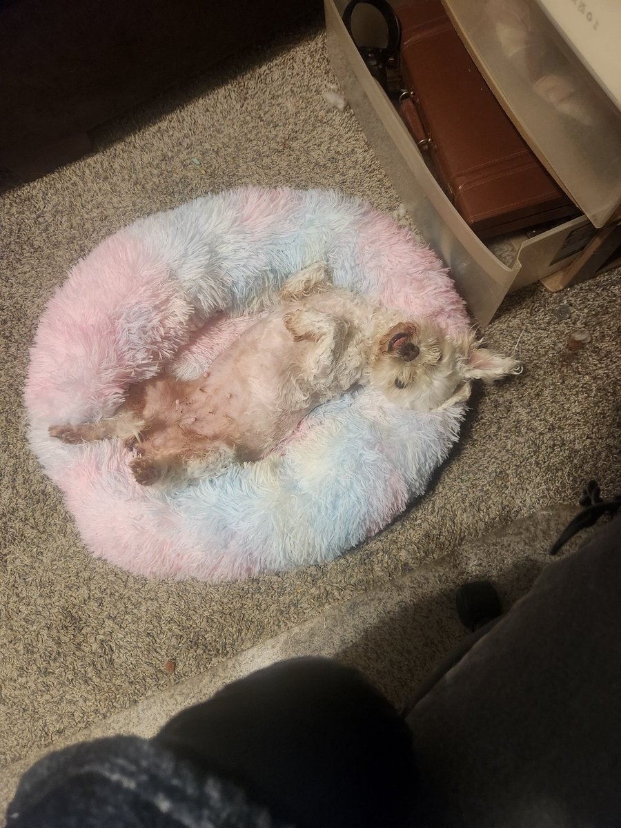 Jdshadow tweet media