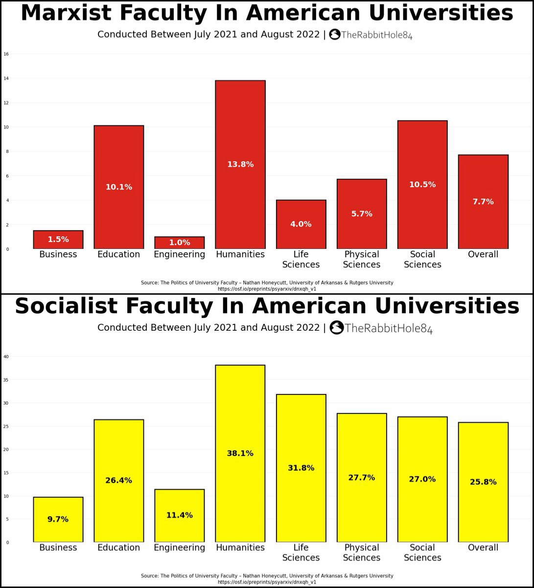 The Rabbit Hole tweet media