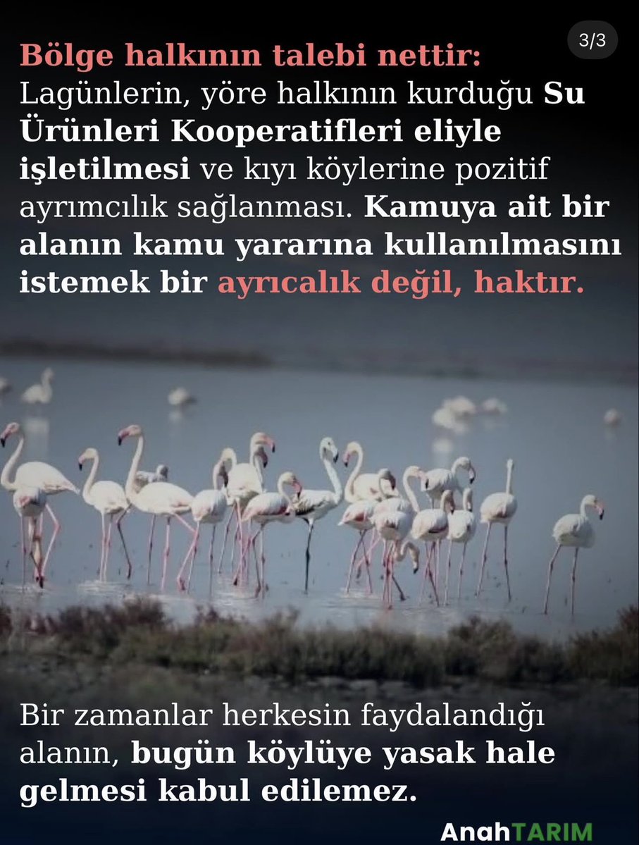 Anahtar Parti
Tarım Politikaları Başkanı Sayın Hasan Hüseyin DEMİRÖZ;

Bir Köy Düşünün… Neredeyse Herkes Hırsızlıktan Yargılandı

Adana Karataş ve Yumurtalık’taki lagünlerde (denizle bağlantılı, balıkların doğal olarak yaşadığı sığ kıyı gölleri) yıllardır uygulanan kiralama ve