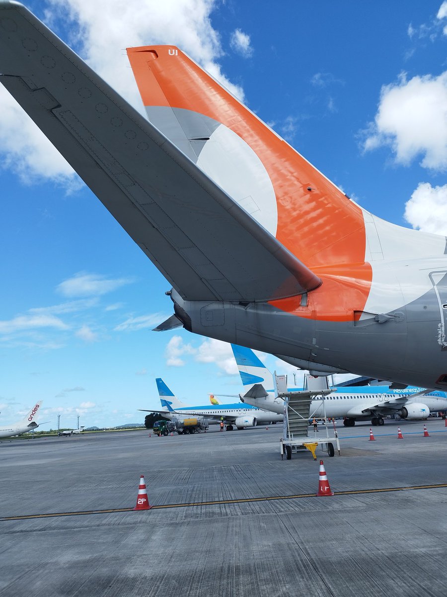 Mario Neto tweet media