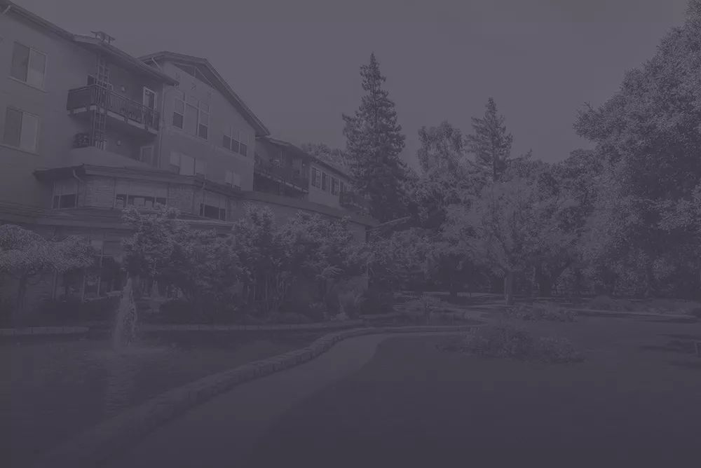 Map of Care tweet media