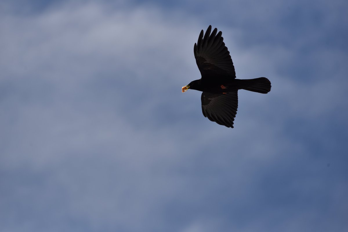 Stedilnik tweet media