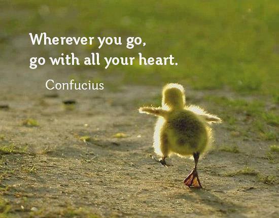 Camille Gizzarelli (@cgizzarelli) on Twitter photo 