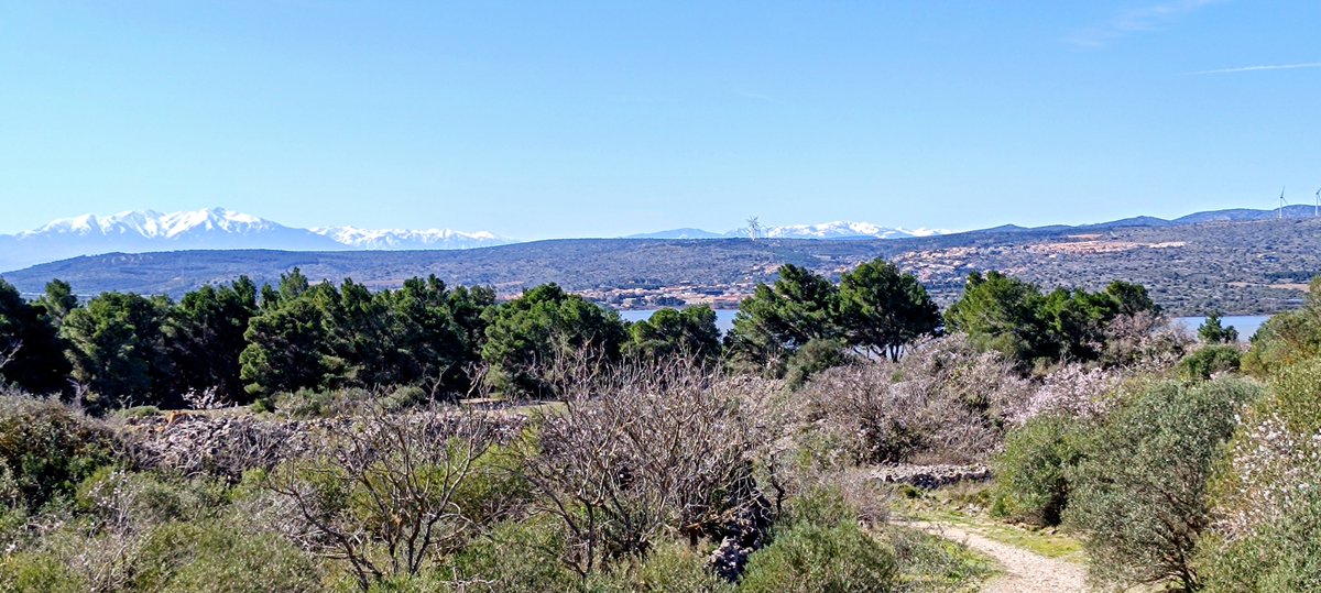 Aujourd'hui, dans le midi, on s'est pris un bol d'air bleu et blanc là bas...au loin ! Ça fait un grand bien 😊👍🏻😎🏖️🙏🏻
#vacances #sud #soleil #midi
