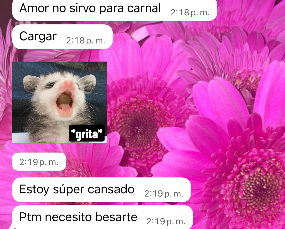 maajocoello's tweet photo. Juré que no volvería a pasarme de nuevo, volvió a pasar 🎶 😍❤️ https://t.co/lIMbLKfNOu