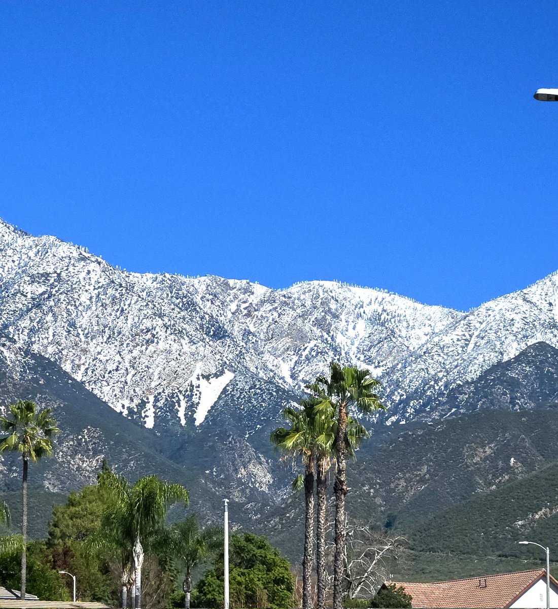 Wolfways44's tweet image. Southern California is trying to be the pretty girl again, so you forget how completely crazy she is. 🤣🤣