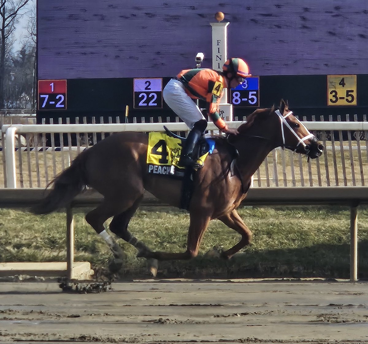 The Racing Biz tweet media