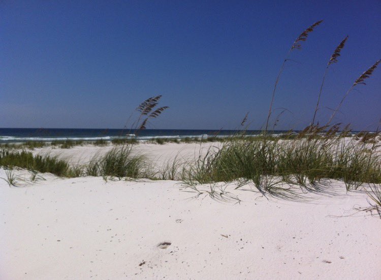 Carlos E. Moreyra, MD tweet media