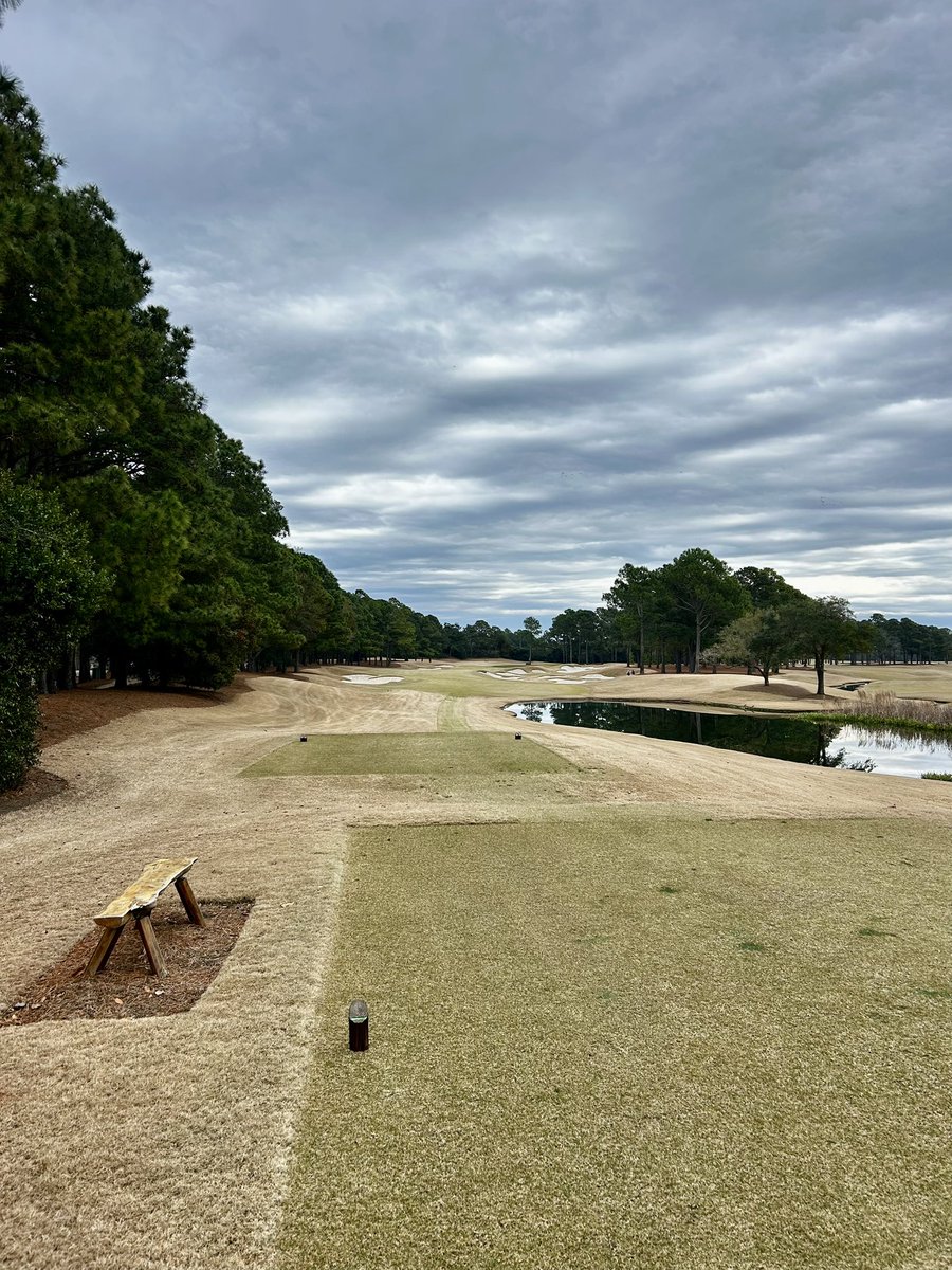 brett sullivan tweet media