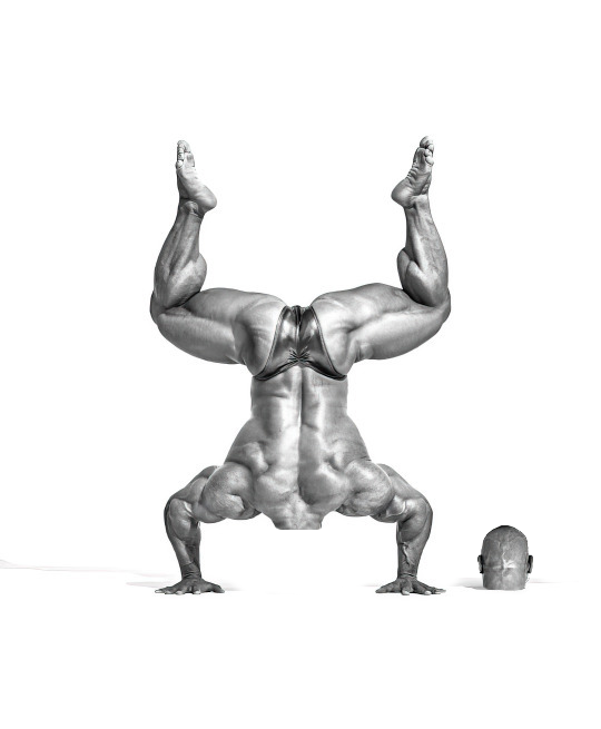 Headless Paradise (@headlessparadi1) on Twitter photo 