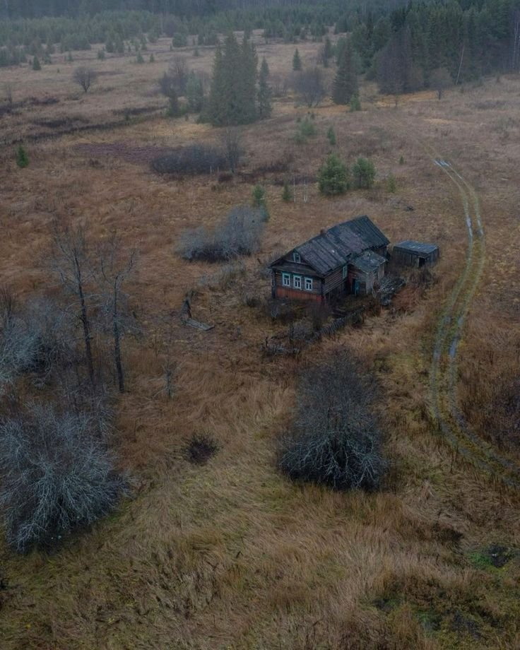 cabinsmountain's tweet photo. when you're done with the society https://t.co/WvGAVjyemj