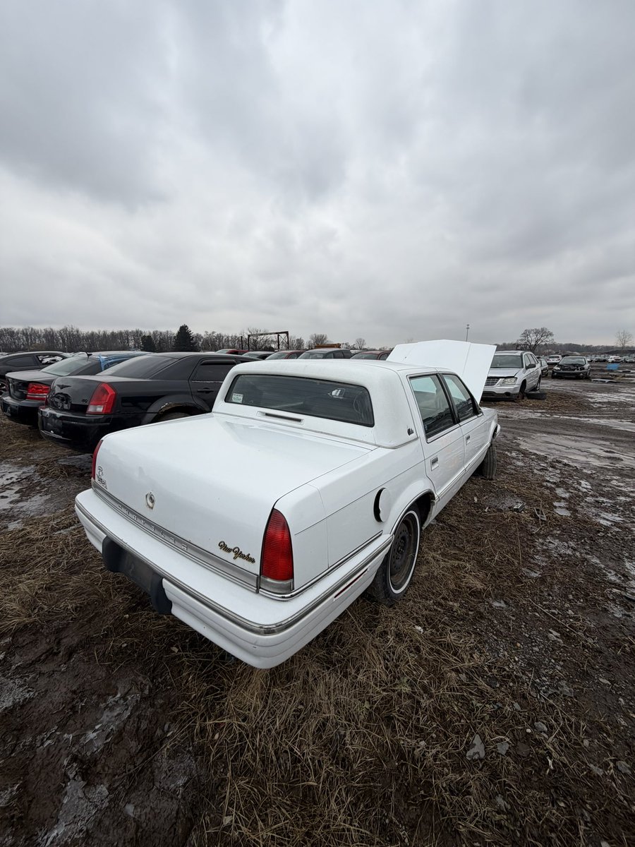 Conner “Head Gasket” Nix tweet media