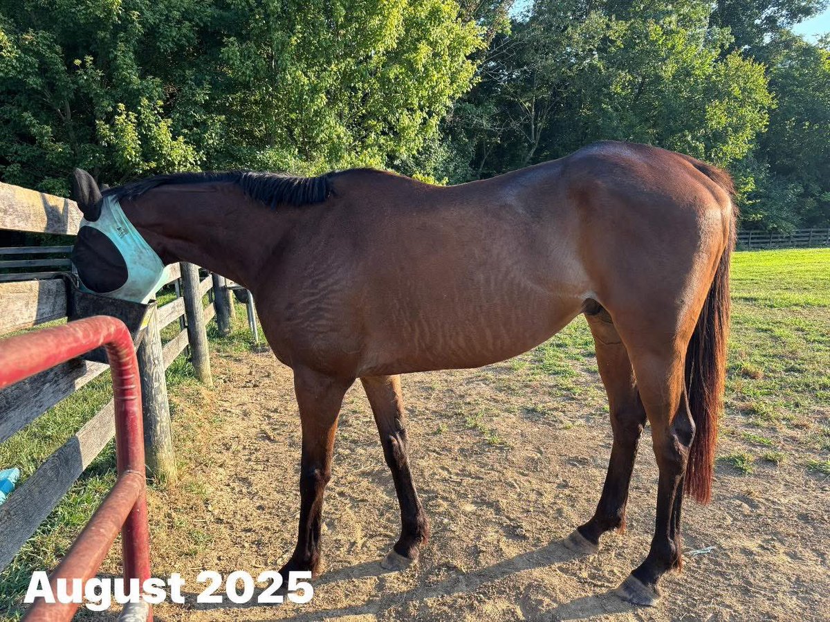 Leah Vasquez tweet media