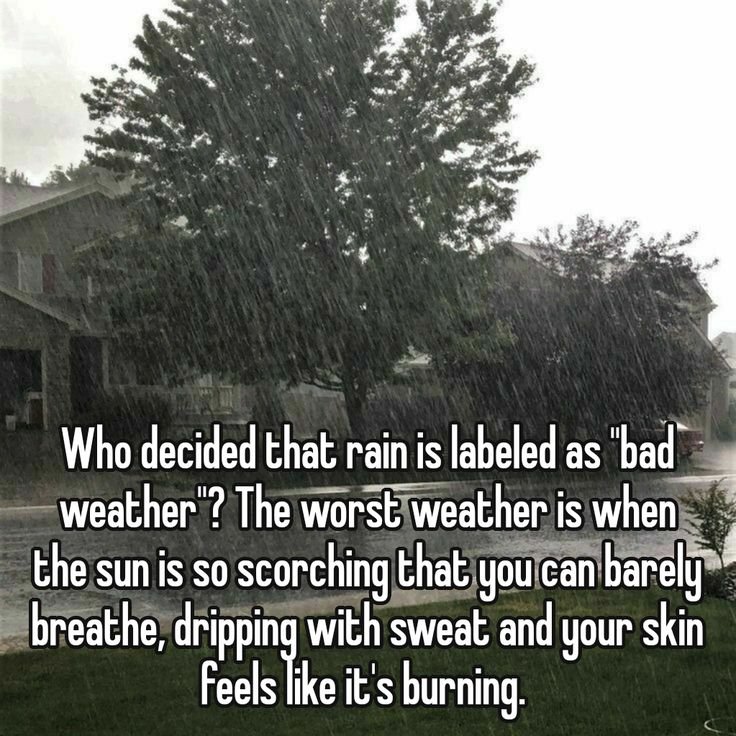 Mountain Cabins tweet media