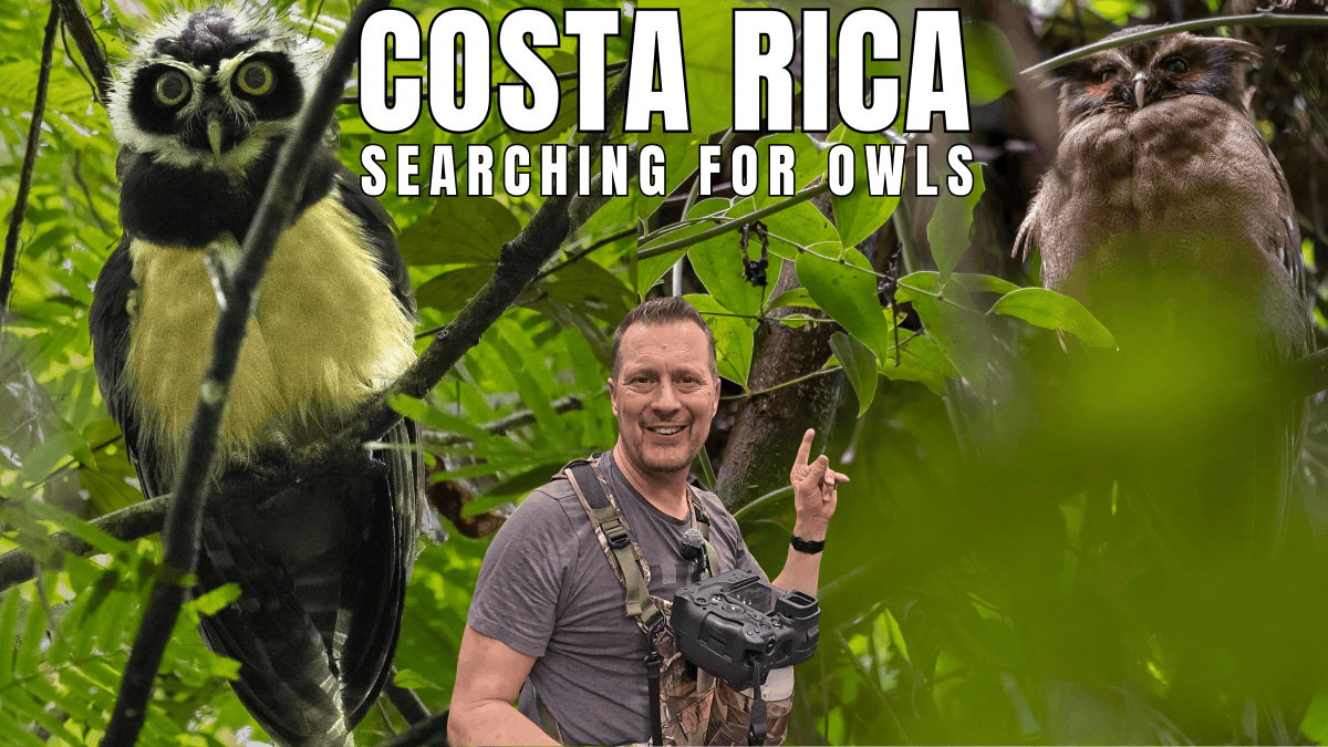 Richard Birchett Wildlife Photography tweet media