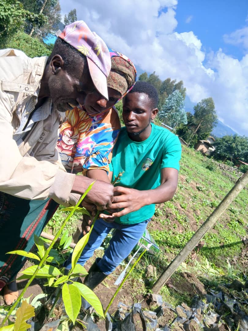 CelineNiyo48494's tweet photo. To day's activity, #HealthPromotionClub
By maintaining healthy nurseries and training local farmers the skills of avocado grafting, we strengthen community engagement, improve tree quality, and empower farmers with practical knowledge that leads to sustainable agriculture. https://t.co/W7fuSgKQeQ