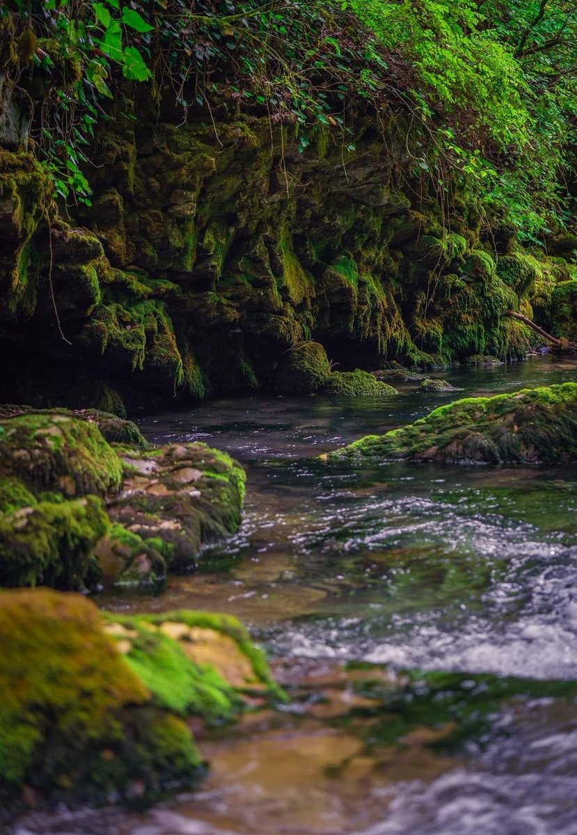 Otar Rogava tweet media