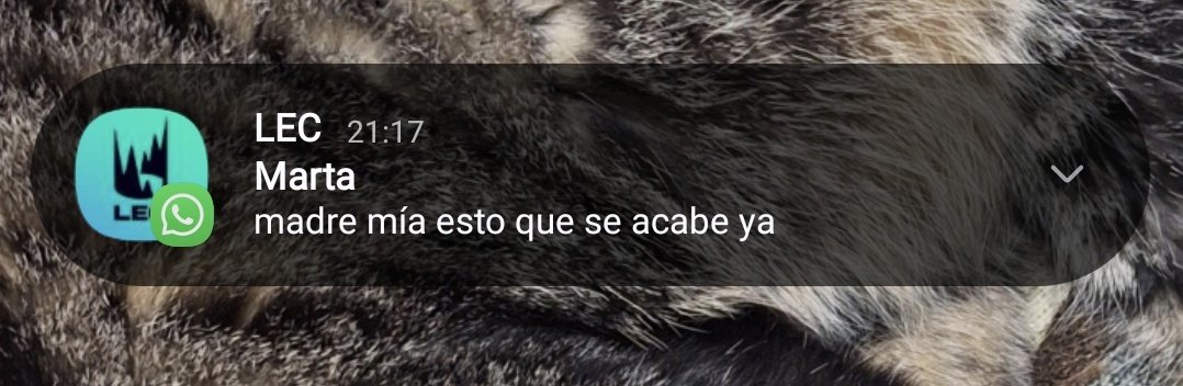 Marta, fan de fnatic, llevaba sin ver la LEC años pero se está intentando poner al día para las lec finals: