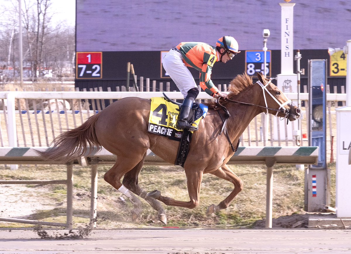 Maryland Horsemen tweet media