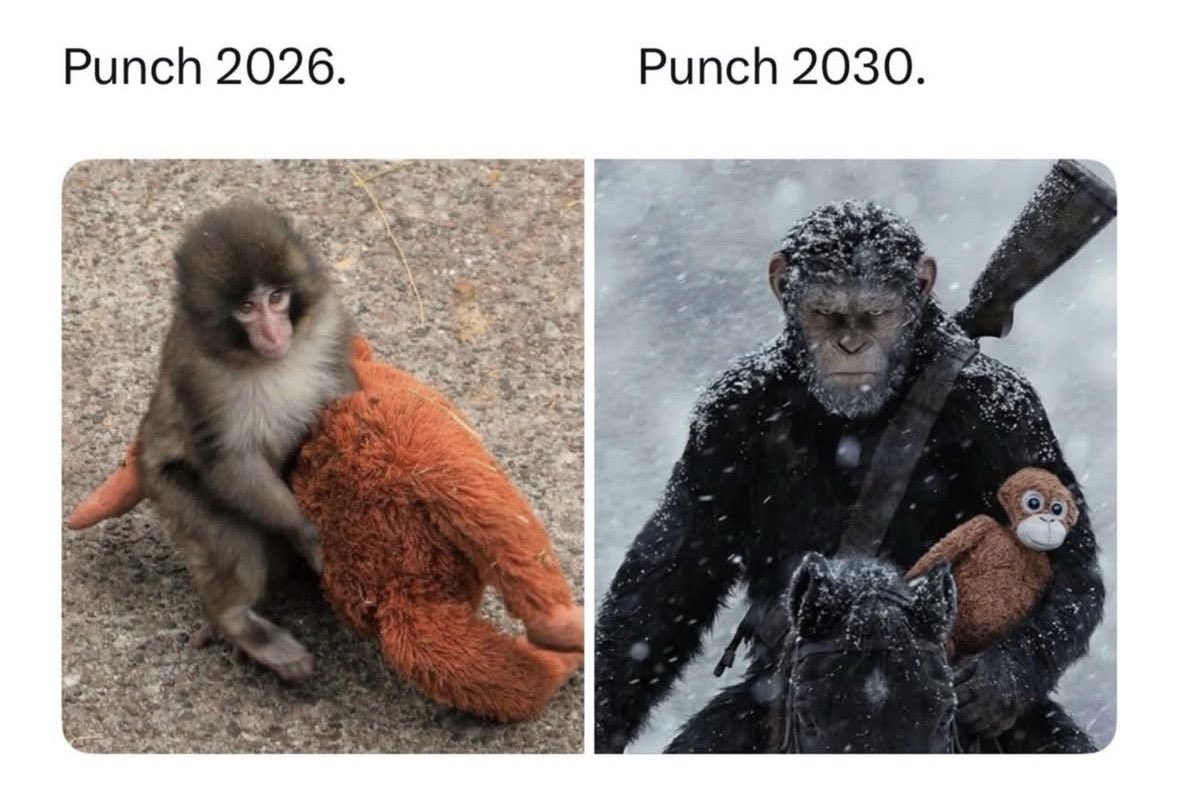 Respectful Memes (@respectfulmemes) on Twitter photo 