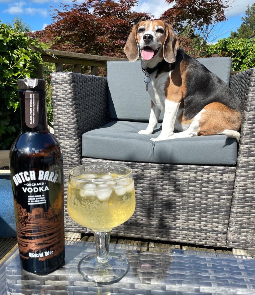 BetsyAmbassador's tweet image. “That gets my stamp of approval, wooooof!” 🎉🍸❤️🐾

#BritishApples #DutchBarn #Dogs